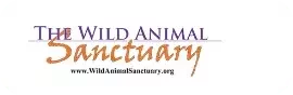 The Wild Animal Sanetuary